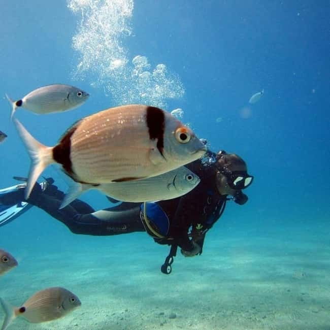 Fethiye: Fly and Dive, Paragliding and Scuba Diving Combined, Transfer Included - One day, two very different ways to see Ölüdeniz