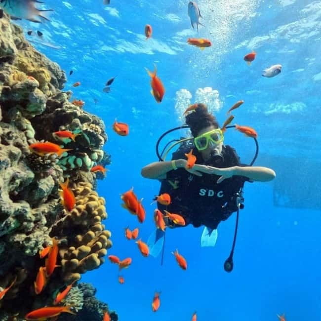 Fethiye: Fly and Dive, Paragliding and Scuba Diving Combined, Transfer Included - The 30-minute climb to Babadağ