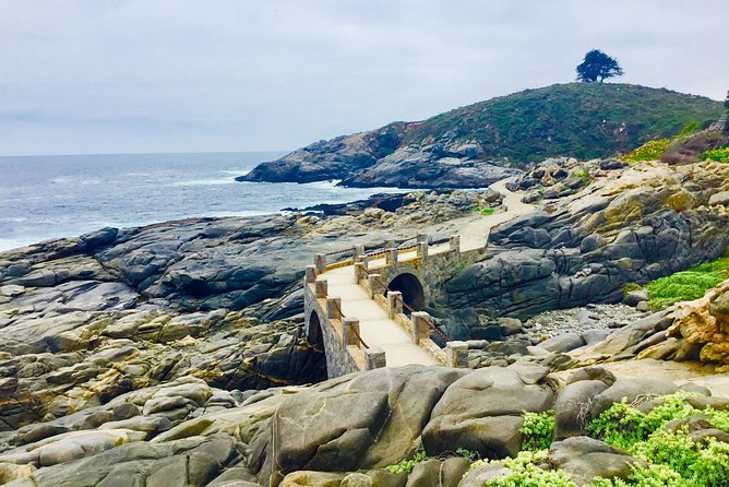 Fr STGO: WILD PENGUINS, SEALION, SANDBOARD, PARAGLIDING & PICNIC - From Santiago to the Pacific coast