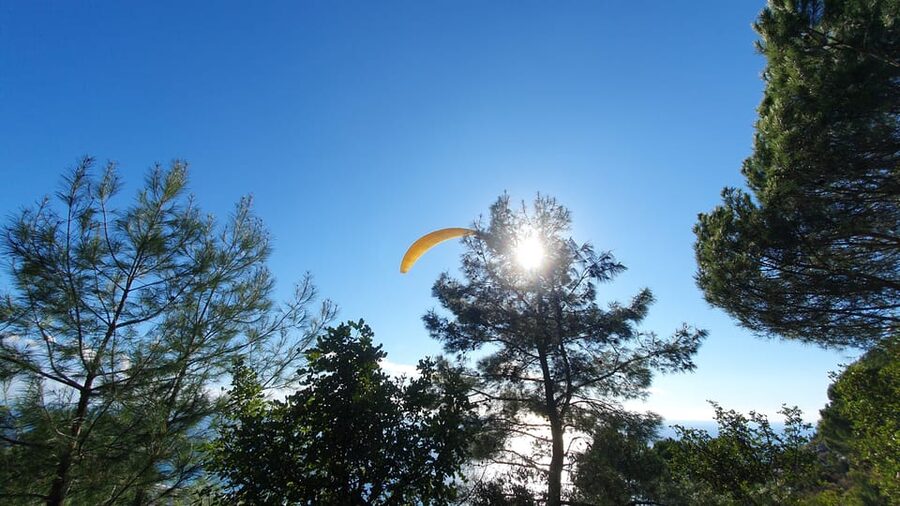 From Antalya/Alanya/Side: Paragliding Adventure - From 700 meters to Cleopatra Beach