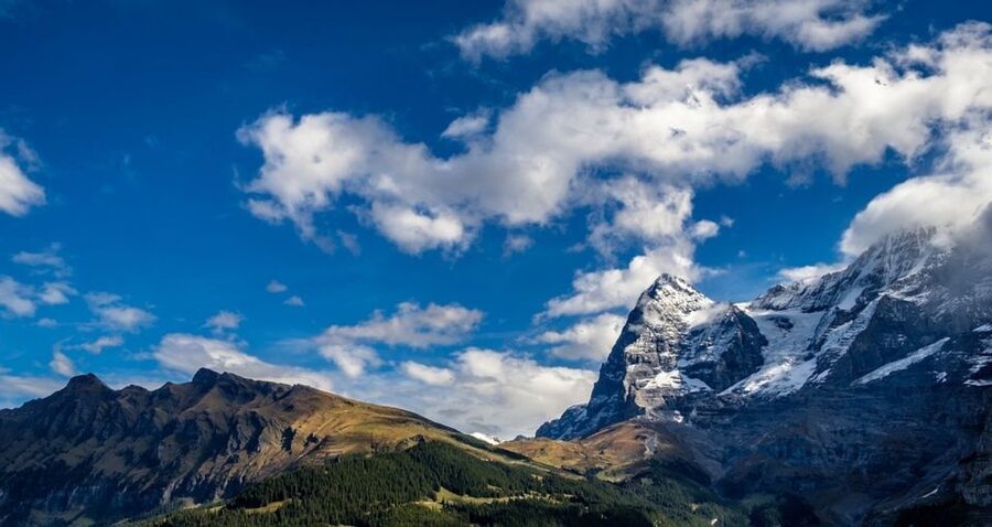 From Geneva: Paragliding and Interlaken Trip - Key points to know before booking