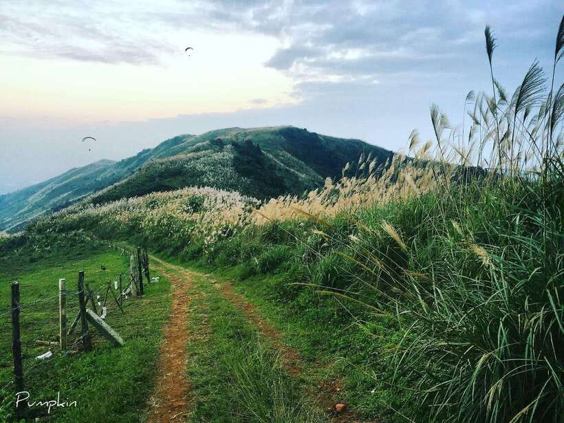Hanoi Sky Tour: Paragliding - Should You Book Hanoi Sky Tour Paragliding?