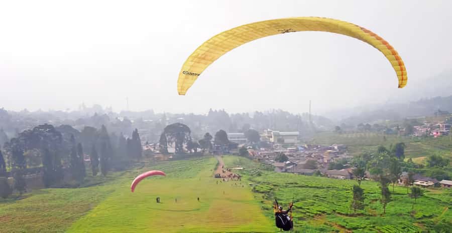 Jakarta: Paragliding on Top Mountain & Tea Plantation - Key points to know before you book
