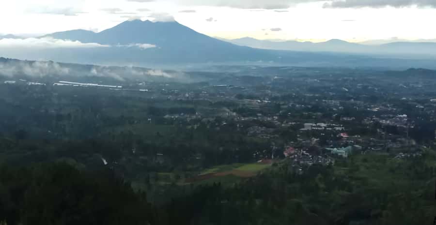 Jakarta: Paragliding on Top Mountain & Tea Plantation - Flying above Puncak’s tea country