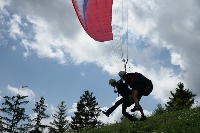 Lake Bled Tandem Paragliding - Landing near the lake