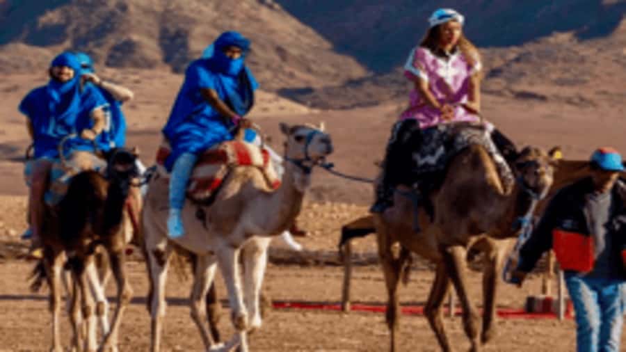 Marrakech Adventure: Paragliding, Camel Ride & Breakfast - At a glance
