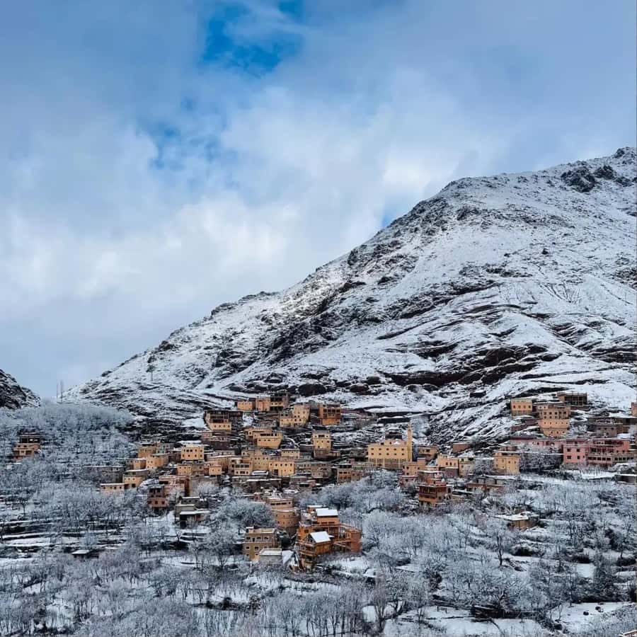 Marrakech: Paragliding, Camel Ride & Berber Villages Trip - Why this Marrakech day trip works