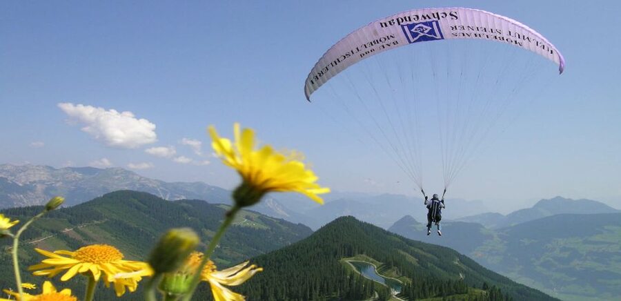 Mayrhofen: Paragliding Flight Experience Over Mountains - Is $141 a fair price?