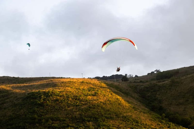Palermo: paragliding flight with instructor foto and video - Key points at a glance