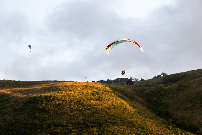 Paragliding flight in Palermo - Key points to know before you book