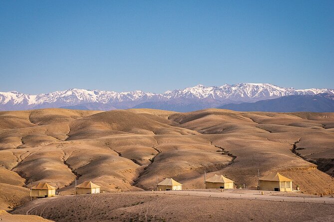 paragliding in Agafay Desert with Camel Ride - What the camel ride adds