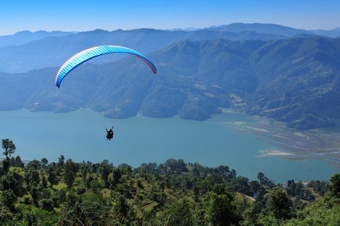 Paragliding Pokhara Nepal - Vultures, eagles, and kites in the same sky