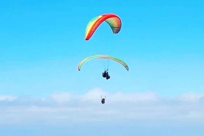 Private Activity Paragliding Flight in Gran Canaria - A calm ride or optional aerobatics