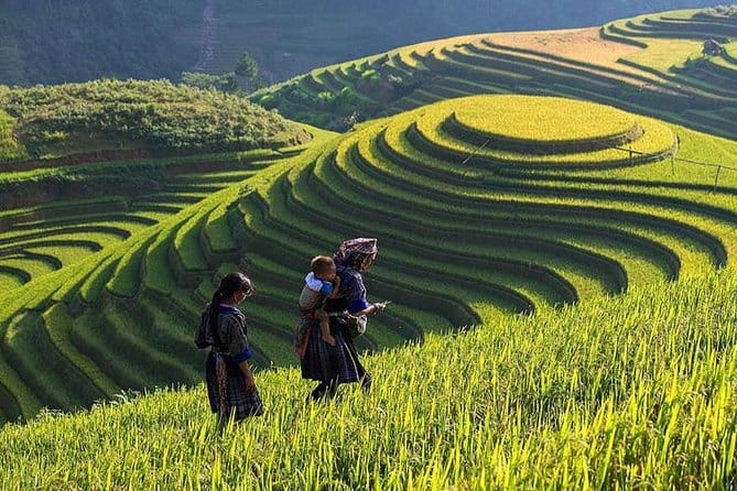 Tandem Paragliding Experience in Hanoi - What the club setting adds