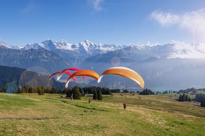 Tandem Paragliding Experience with Transport from Interlaken - Who will enjoy this flight most?