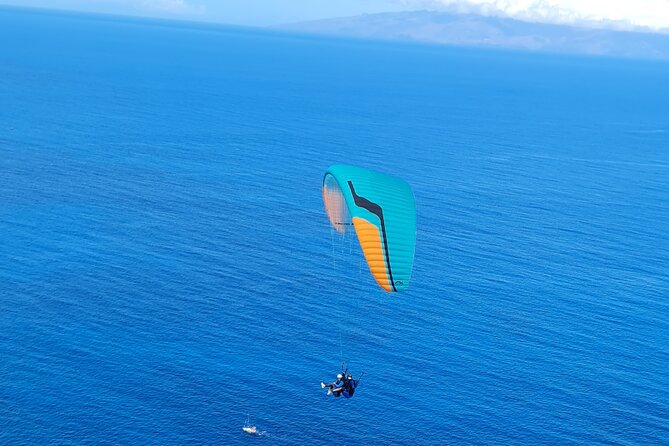 Tandem Paragliding Flight in Costa Adeje from 1100m - Is $154.15 good value?