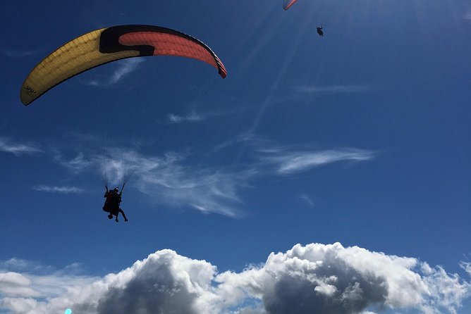 Tandem Paragliding over the Rugged Lava Fields at Blue Mountains - The views over Reykjanesfólkvangur