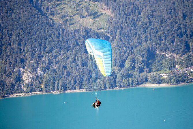 Tandem Paragliding St. Gilgen - Wolfgangsee - Choosing between a calm glide and optional wingovers