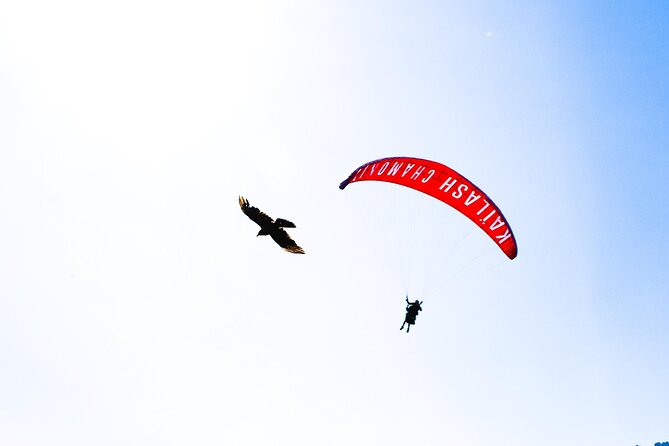 Two-seater paragliding flight in Chamonix - Practical details before you book